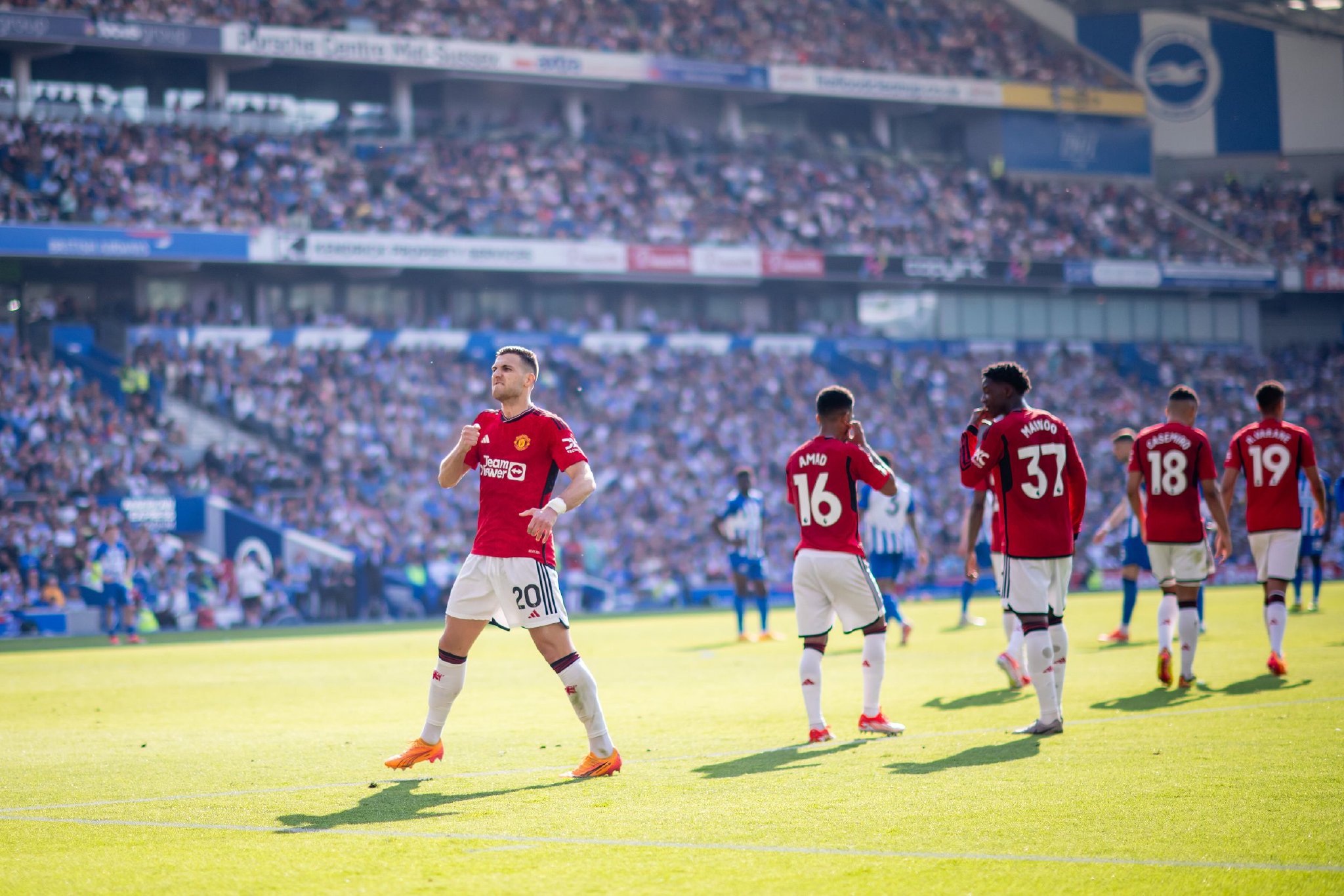 考虑到塞尔 考虑到塞尔